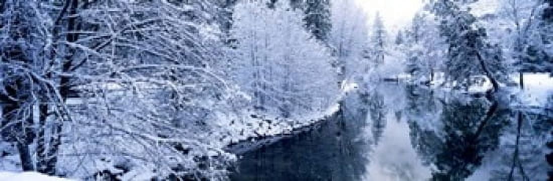 Snow covered trees along a river Yosemite National Park California USA Canvas Art - Panoramic Images (18 x 6)