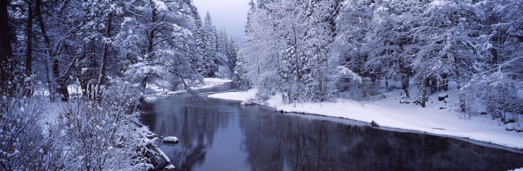 Snow covered trees along a river Yosemite National Park California USA Canvas Art - Panoramic Images (27 x 9)