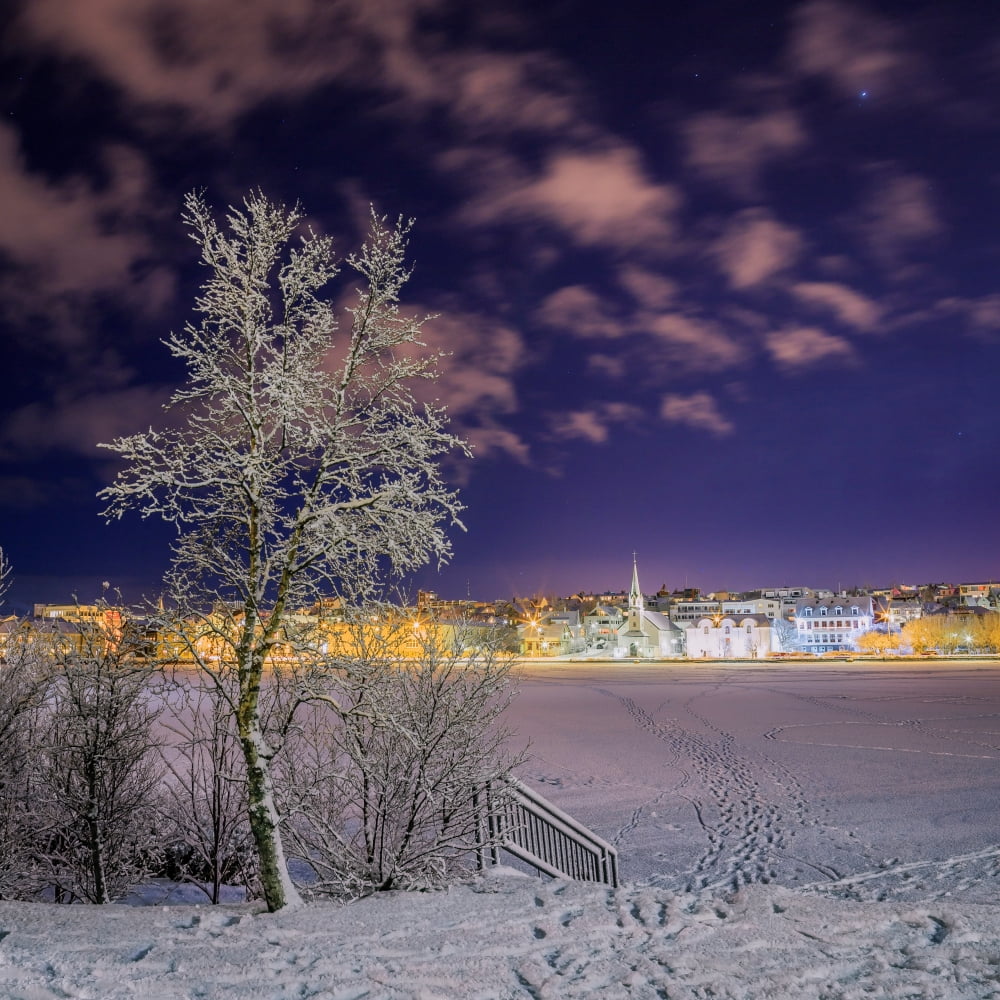 Snow covered trees and frozen pond Reykjavik Iceland Canvas Art - Panoramic Images (24 x 24)