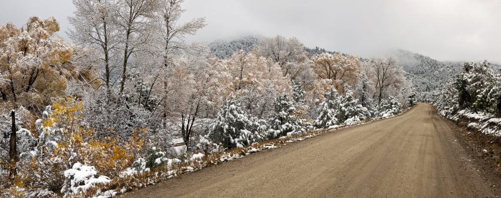 Snow covered trees at roadside El Salto Taos Taos County New Mexico USA Canvas Art - Panoramic Images (36 x 12)