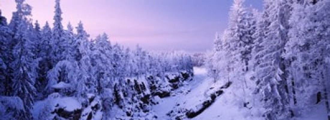 Snow covered trees in a forest Imatra Finland Canvas Art - Panoramic Images (18 x 7)