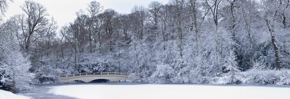 Snow covered trees in a park Hampstead Heath North London London England Canvas Art - Panoramic Images (36 x 12)