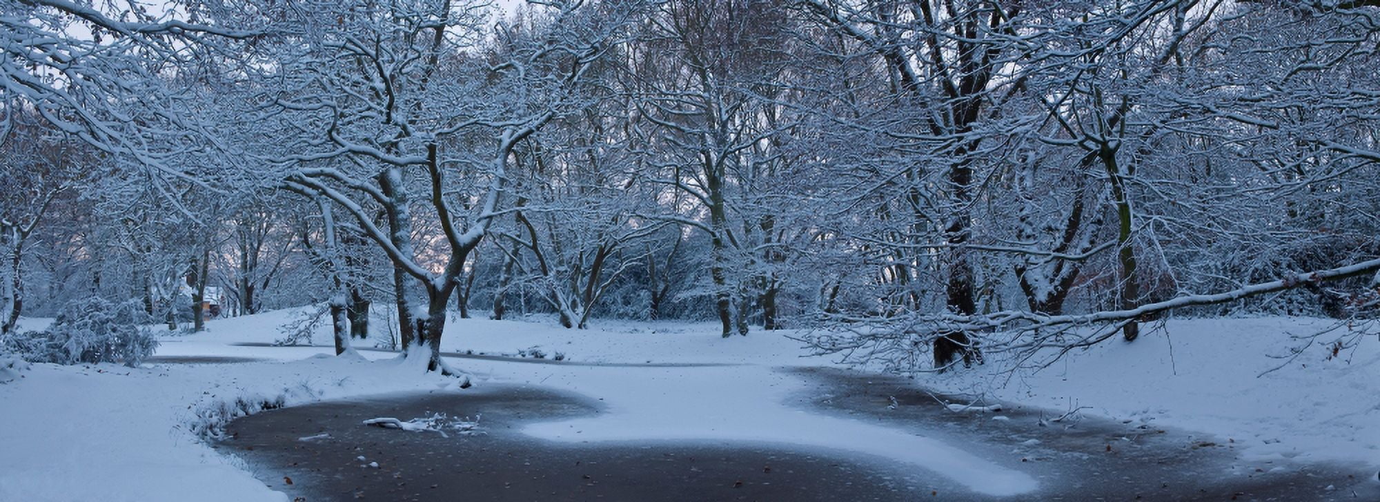 Snow covered trees in a park Hampstead Heath North London London England Canvas Art - Panoramic Images (36 x 12)
