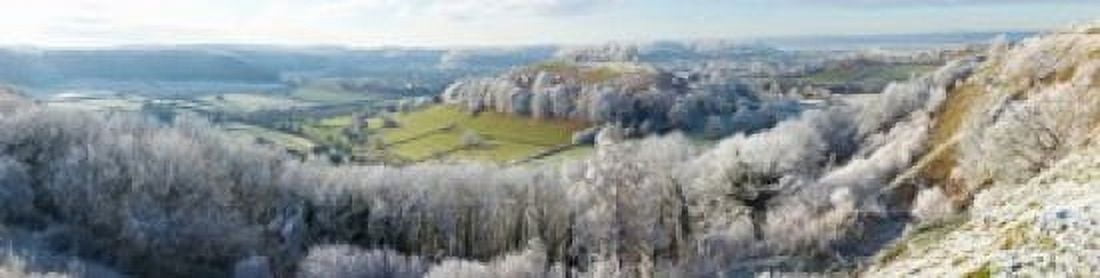 Snow covered trees in a valley from Uley Bury Downham Hill Gloucestershire England Canvas Art - Panoramic Images (20 x 5)