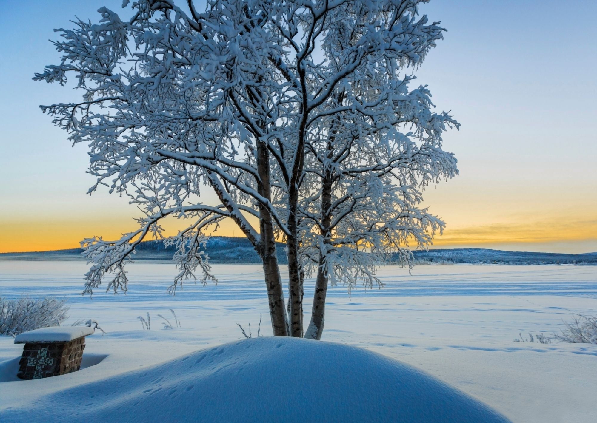 Snow covered trees in extreme cold temperatures Lapland Sweden Canvas Art - Panoramic Images (12 x 36)