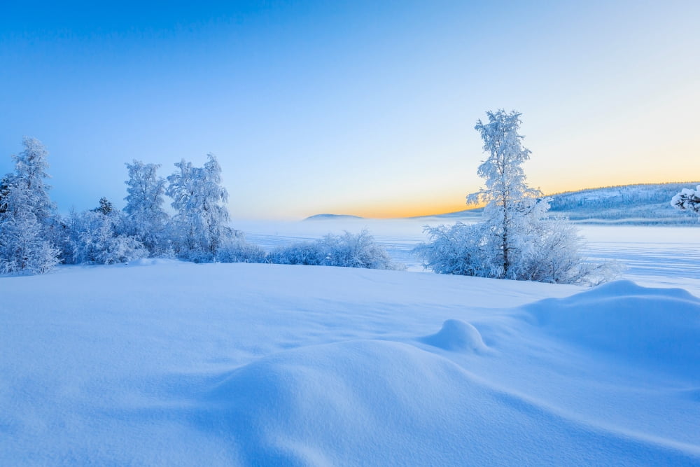 Snow covered trees in extreme cold temperatures Lapland Sweden Canvas Art - Panoramic Images (27 x 9)