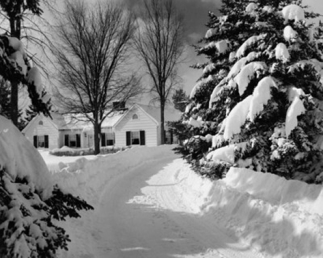 Snow covered trees in front of a house Canvas Art - (18 x 24)