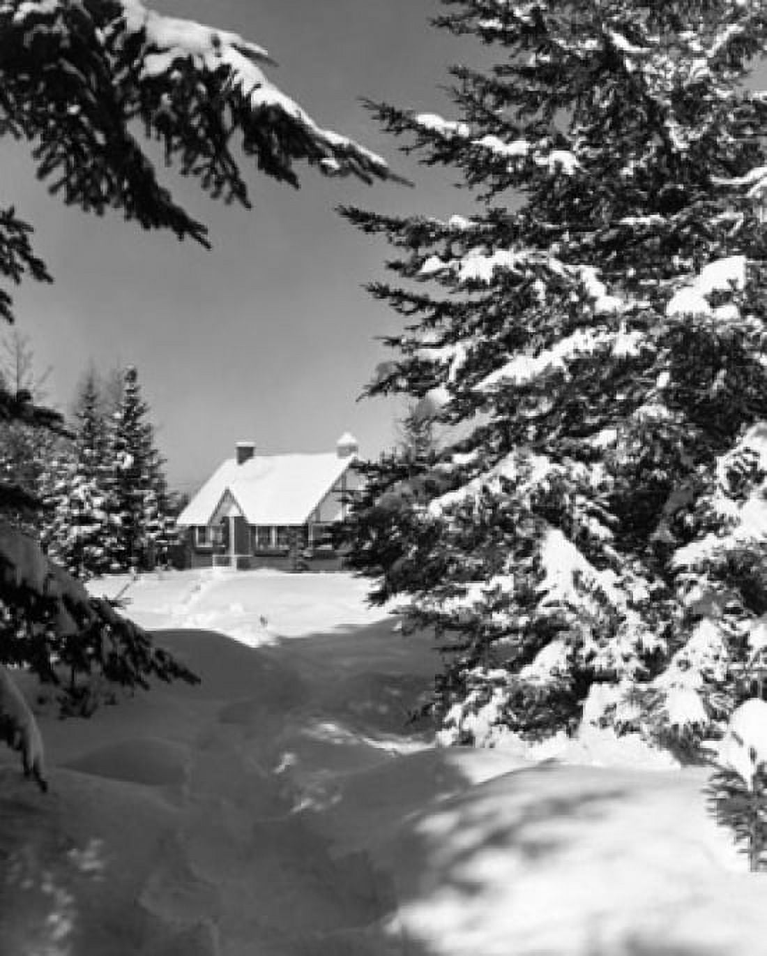 Snow covered trees in front of a house Canvas Art - (24 x 36)