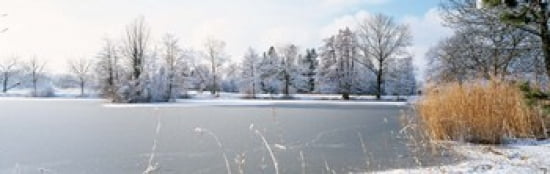 Snow covered trees near a lake Lake Schubelweiher Kusnacht Zurich Switzerland Canvas Art - Panoramic Images (36 x 12)