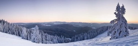 Snow covered trees on a hill Belchen Mountain Black Forest Baden-Wurttemberg Germany Canvas Art - Panoramic Images (36 x 12)