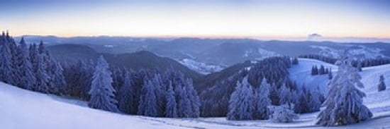 Snow covered trees on a hill Feldberg Mountain Black Forest Baden-Wurttemberg Germany Canvas Art - Panoramic Images (36 x 12)