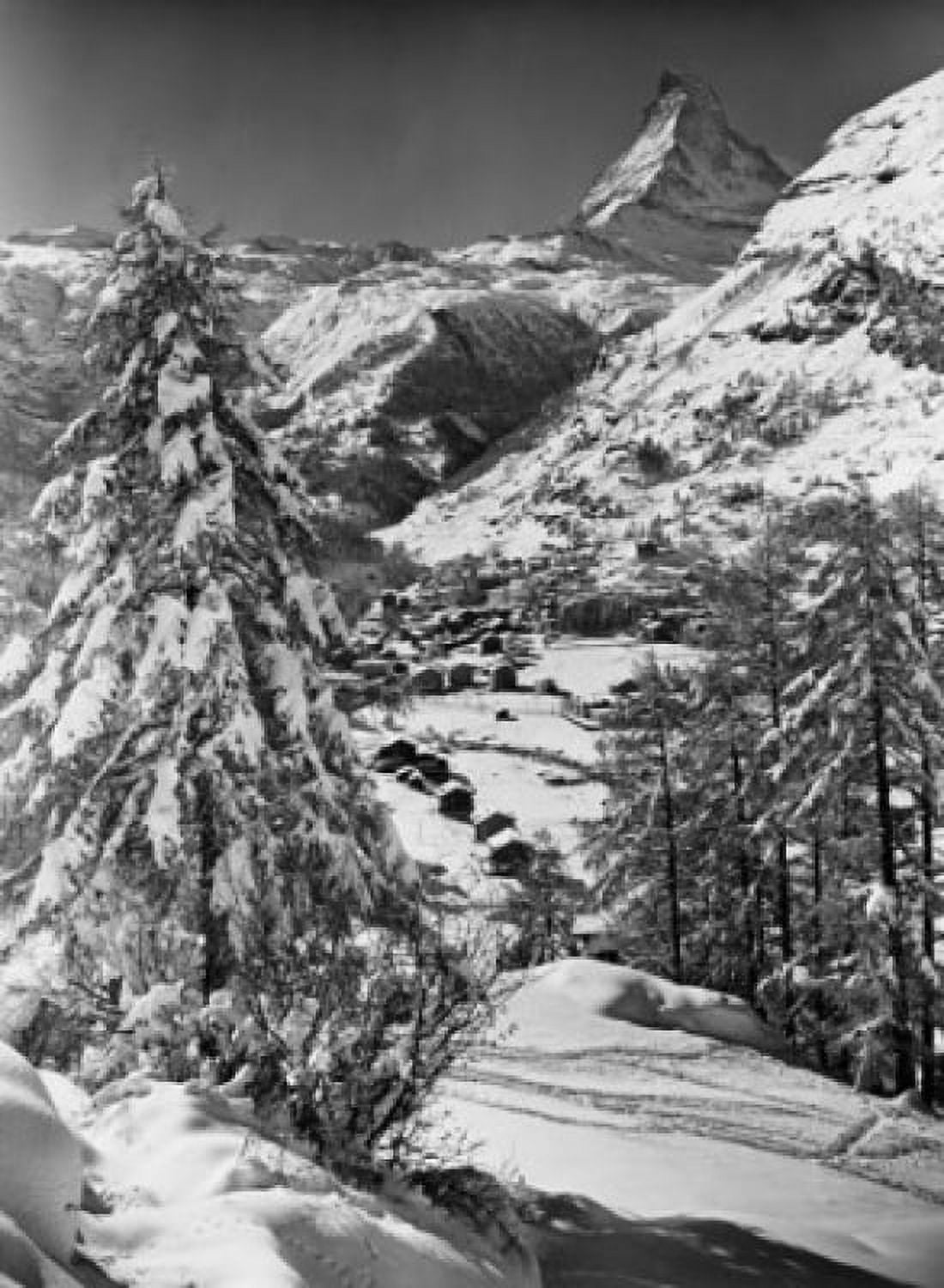 Snow covered trees on a landscape with a mountain peak in the background Matterhorn Switzerland Canvas Art - (24 x 36)