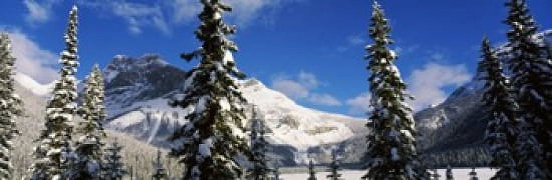 Snow covered trees with mountain range in the background Emerald Lake Yoho National Park Canada Canvas Art - Panoramic Images (36 x 12)