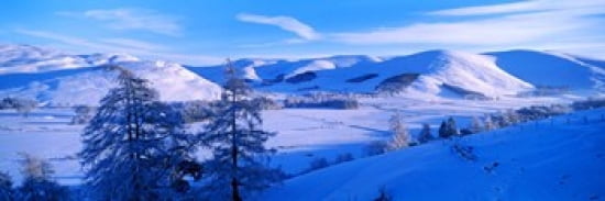 Snow covered valley in winter Manor Valley Scottish Borders Scotland Canvas Art - Panoramic Images (36 x 12)