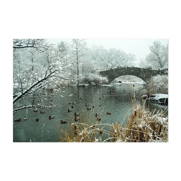 Snow in Central Park - Manhattan New York Photography Winter Snow Bridge Scenic Wildlife Nature Landscape Unframed Wall Art Print 32 x 48 inches