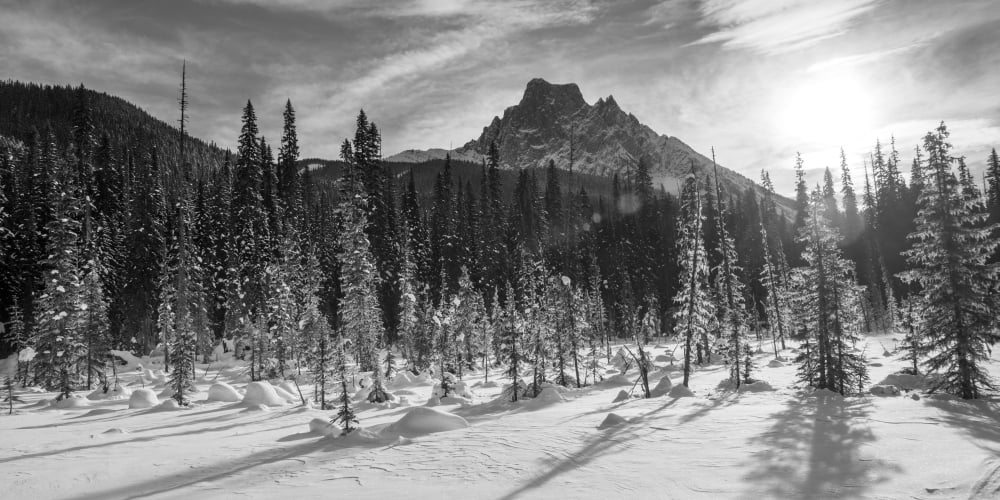 Snow on the rugged Canadian Rocky Mountains and a snow covered field Yoho National Park Field British Columbia Canada Canvas Art - Keith Levit Design Pics (42 x 20)