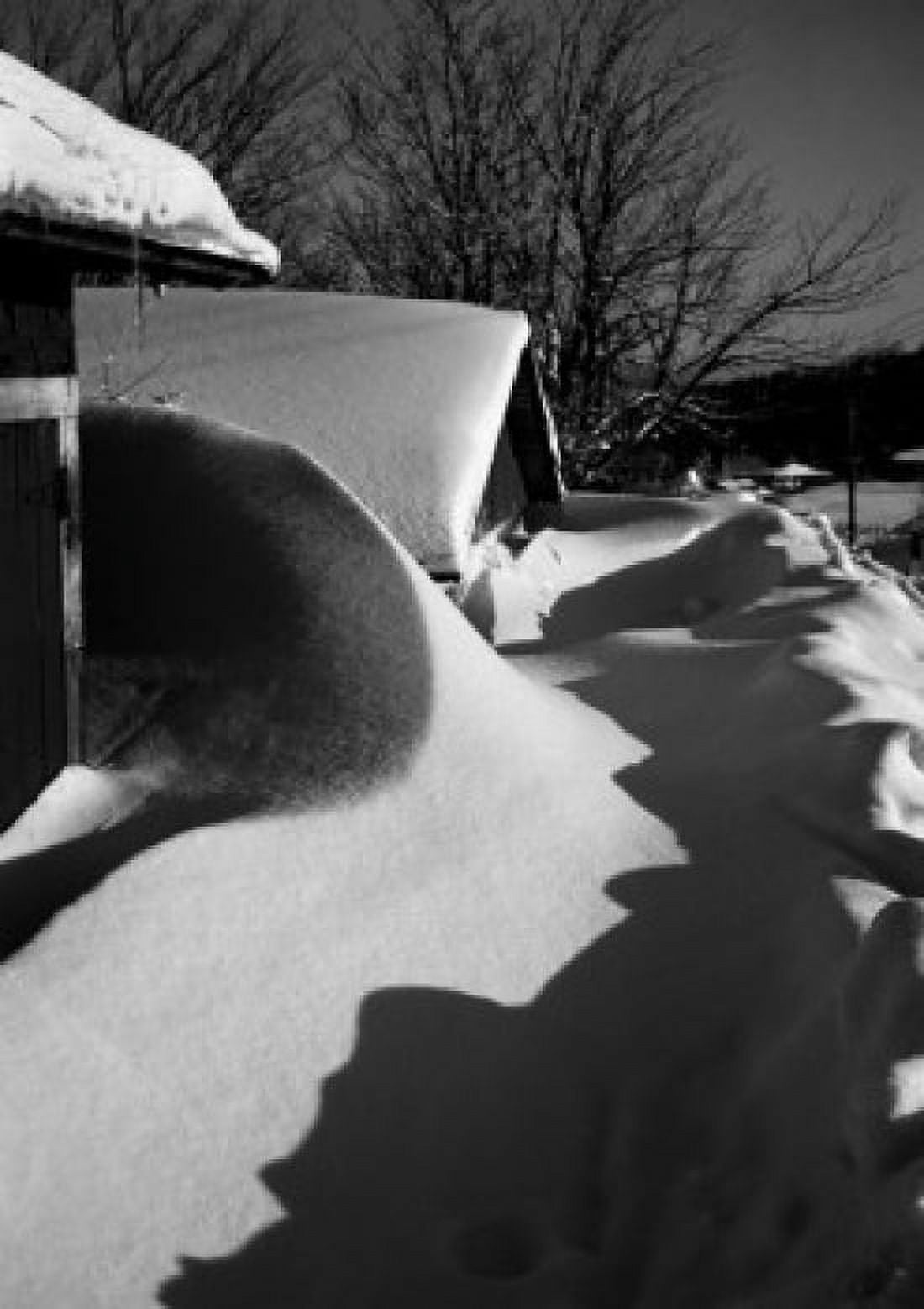 Snow shadows Canvas Art - (18 x 24)