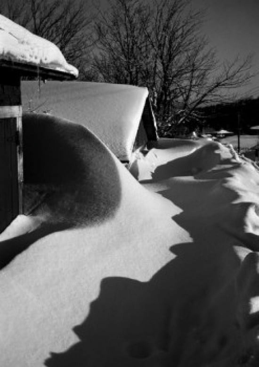 Snow shadows Canvas Art - (24 x 36)