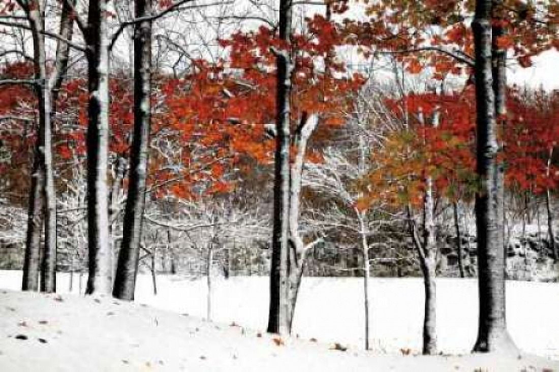 SnowFall Canvas Art - Burney Lieberman (12 x 18)