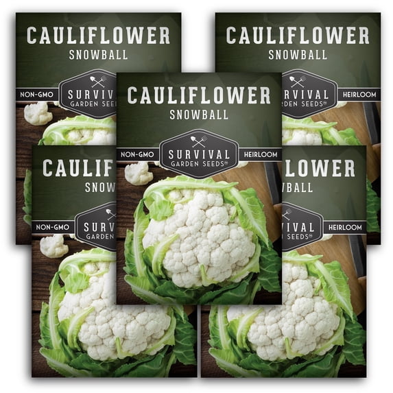 Snowball Cauliflower Seeds - 5 Pack - Non-GMO Heirloom Full Sun Biennial Vegetable