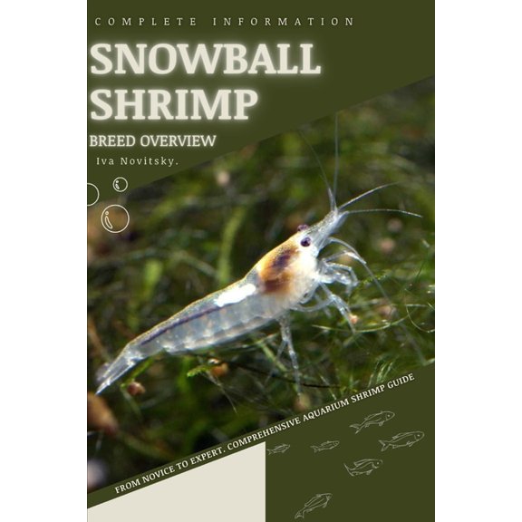 Snowball Shrimp: From Novice to Expert. Comprehensive Aquarium shrimp Guide