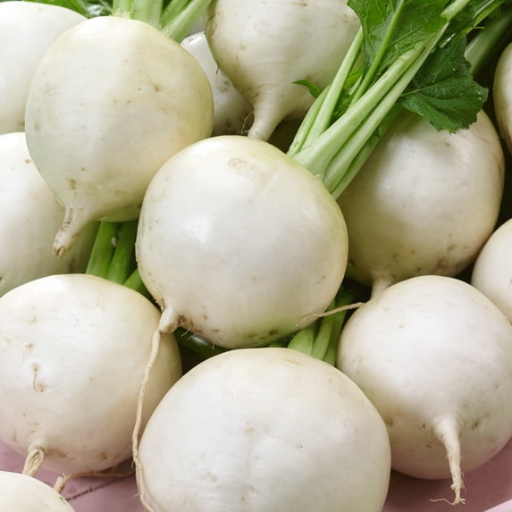 Snowball Turnip Seeds - 1 Oz ~12000 Seeds - Non-GMO - Vegetable Garden - Brassica rapa
