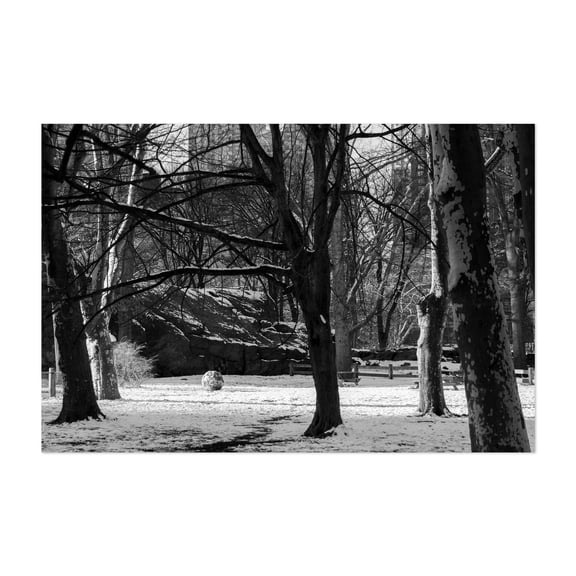Snowball in Central Park - Manhattan New York Photography Unframed Wall Art Print 12 x 18 inches