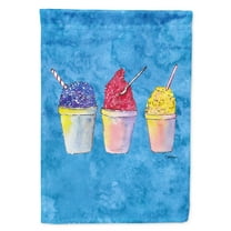 Snowballs and Snowcones Flag Canvas House Size