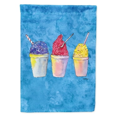 Snowballs and Snowcones Flag Canvas House Size