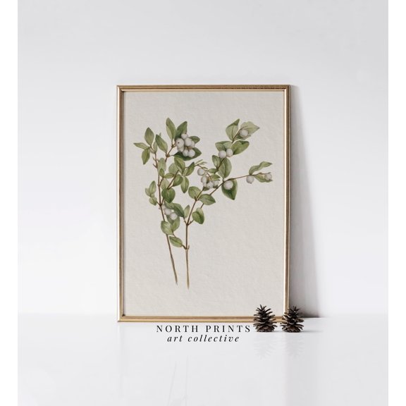 Snowberry : Winter Botanical Wall Art W-217 UNFRAMED Poster, Wall Art for Decor, Present, 8x12