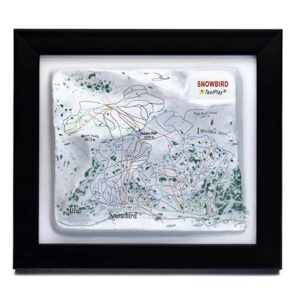 Snowbird Ski Resort 3D Raised Relief Map