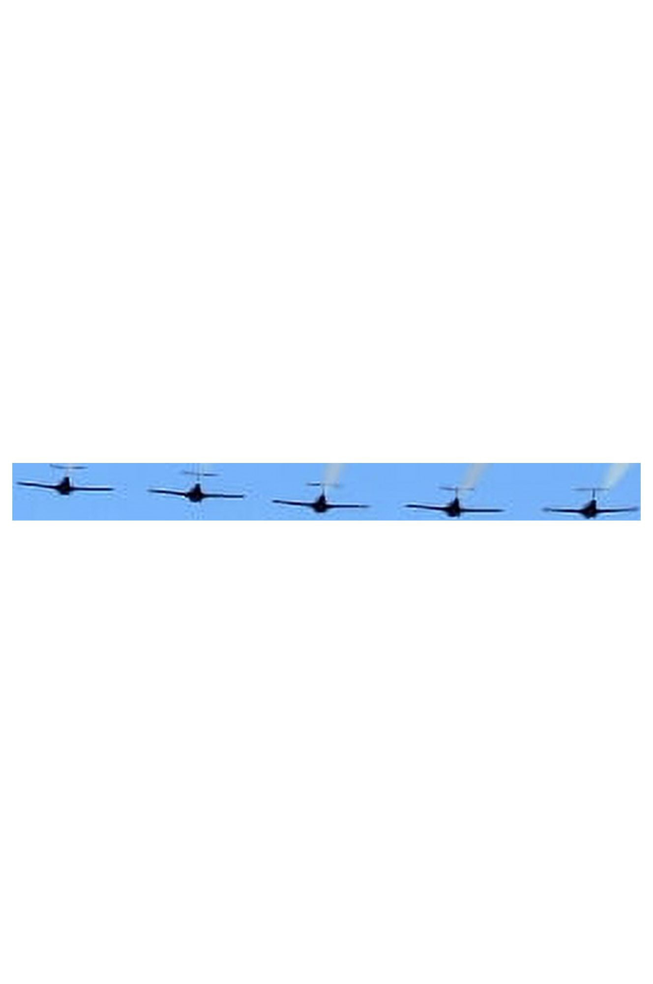 Snowbirds Air Show Toronto Ontario Canvas Art - Brian Summers Design Pics (11 x 17)