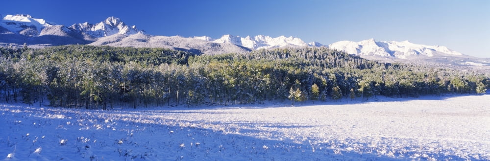 Snowcapped mountain Mount Sneffels Colorado USA Canvas Art - Panoramic Images (6 x 18)