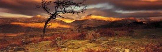 Snowdonia National Park Wales United Kingdom Canvas Art - Panoramic Images (36 x 12)