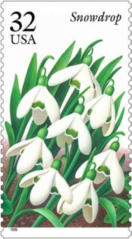 Snowdrop Canvas Art - US POSTAL SERVICE (24 x 36)