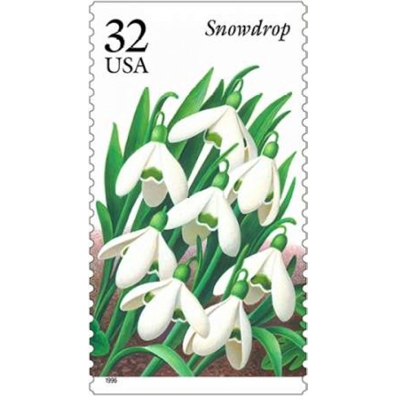 Snowdrop Canvas Art - US POSTAL SERVICE (24 x 36)
