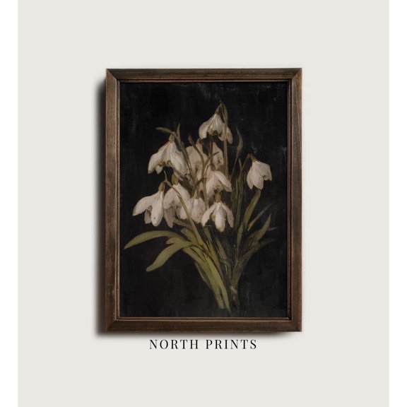 Snowdrop Flower Old World Botanical North Elegant Decorative Design Statement Accent Wall Art