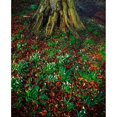 thumbnail image 1 of Snowdrops Along The Ground by The Irish Image Collection / Design Pics (26 x 32), 1 of 3