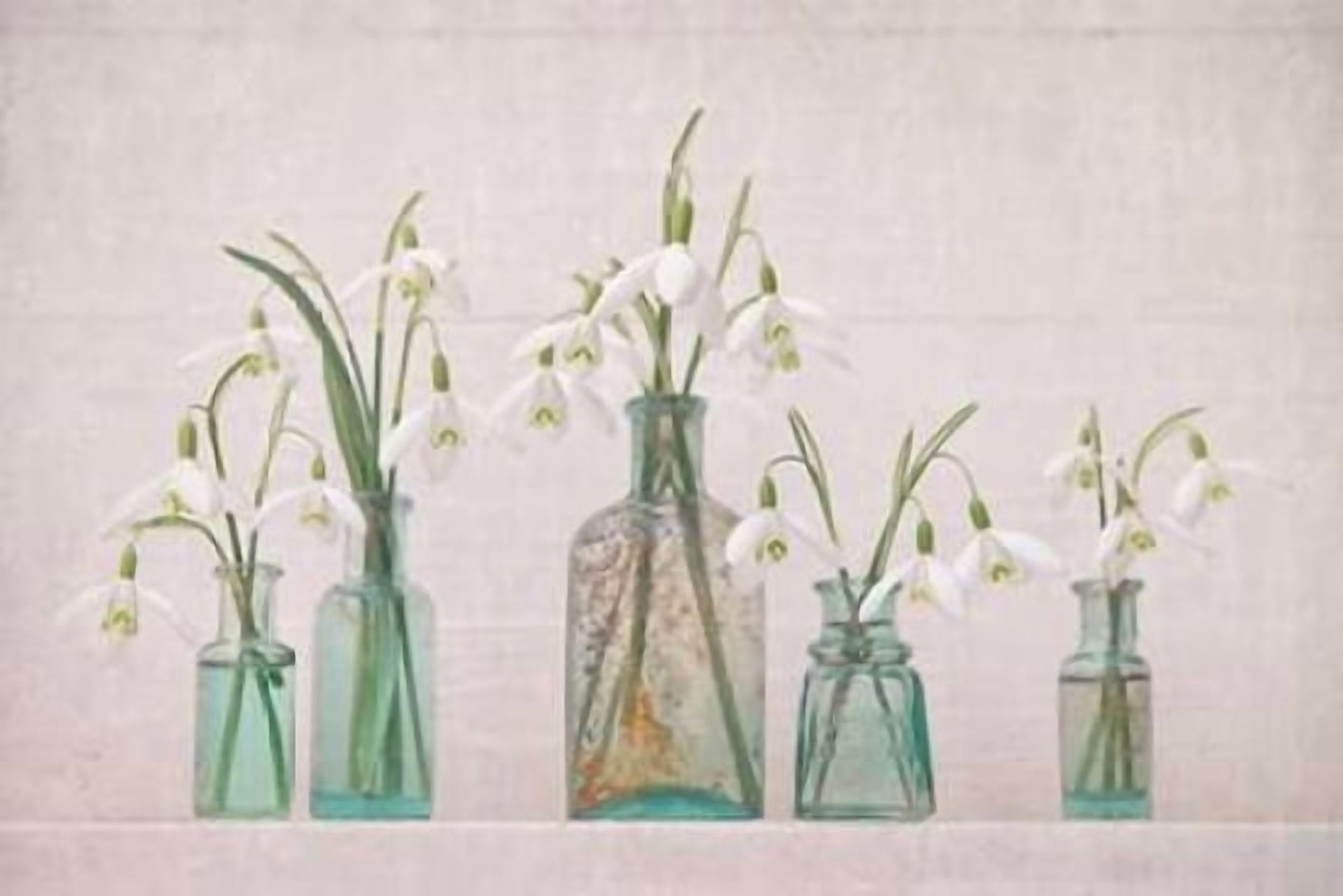 Snowdrops Bottles Canvas Art - Cora Niele (12 x 18)