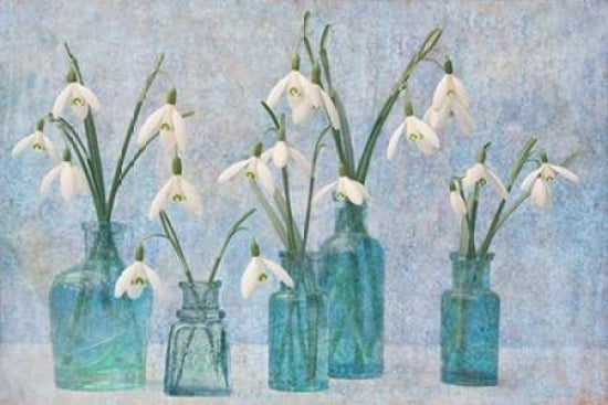 Snowdrops Canvas Art - Cora Niele (12 x 18)