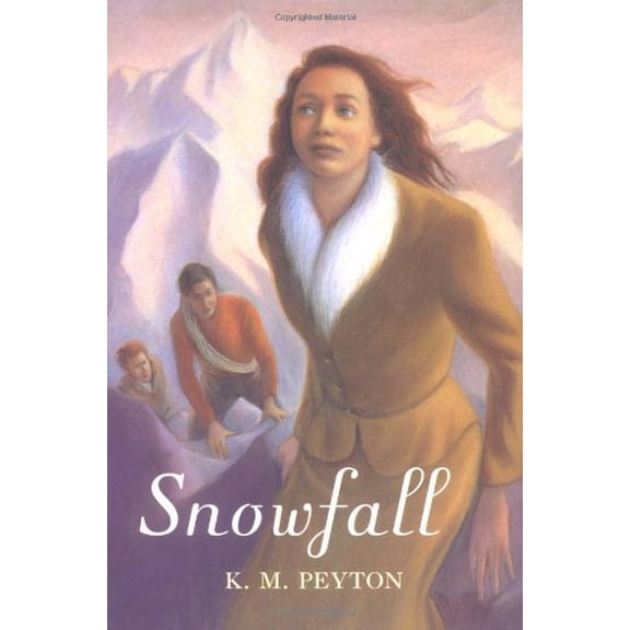 Pre-Owned Snowfall (Hardcover) 0395895987 9780395895986