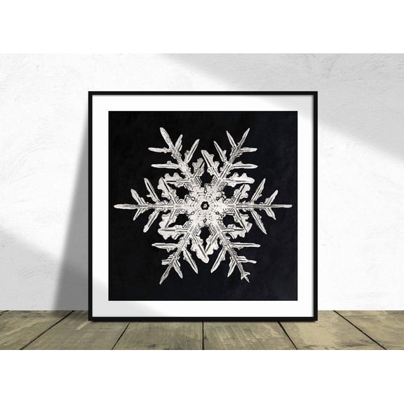 Snowflake 332 Wilson Bentley Square Poster Snow Winter Art Poster Decoration