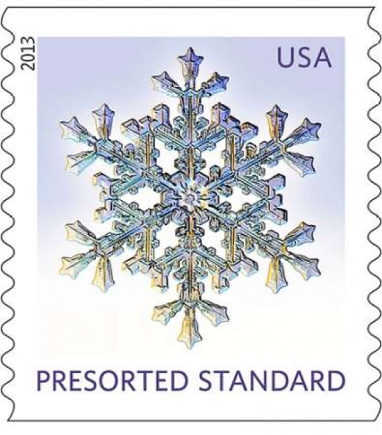 Snowflake #4 Canvas Art - US POSTAL SERVICE (24 x 24)
