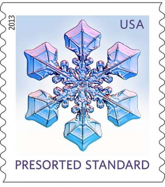Snowflake #5 Canvas Art - US POSTAL SERVICE (24 x 24)