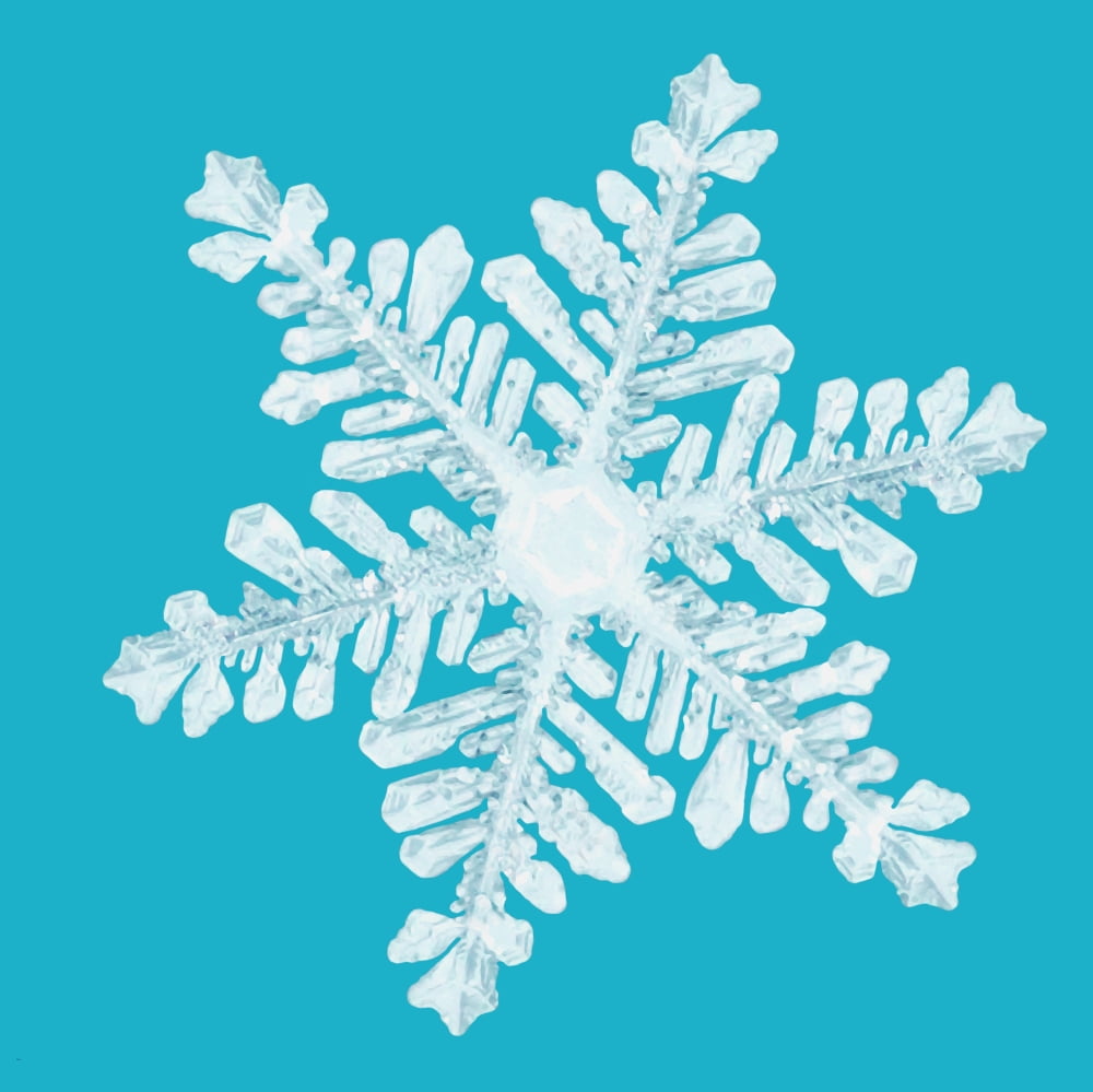 Snowflake Canvas Art - Don Hammond Design Pics (24 x 24)