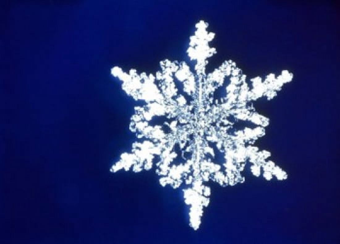 Snowflake Canvas Art - Panoramic Images (16 x 12)