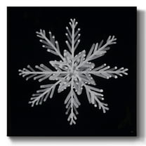 Snowflake II- Gallery Wrapped Canvas