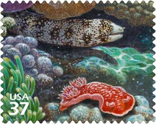 Snowflake Moray Eel Canvas Art - US POSTAL SERVICE (24 x 30)