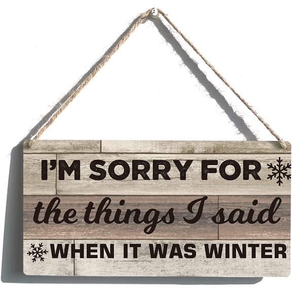 Snowflake Sign Farmhouse The Things I Said When it Was Winter Wooden Hanging Sign Rustic Retro Wall Art Decor Home Decoration 10x5 Inch