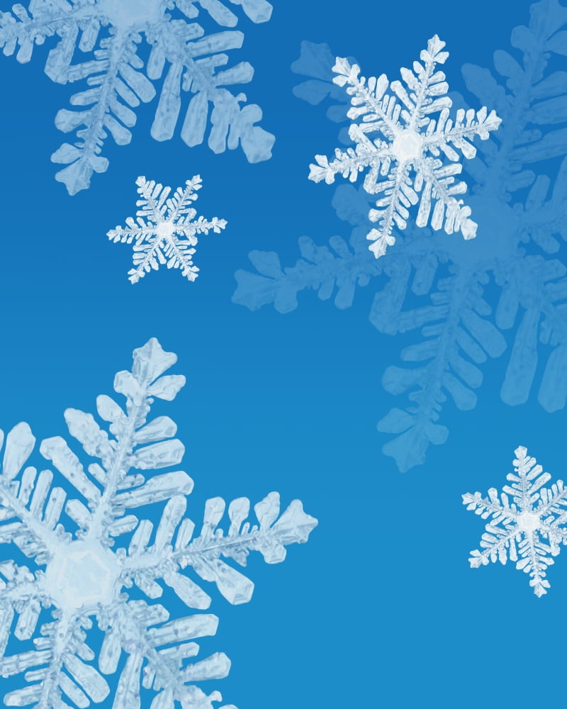 Snowflakes Canvas Art - Don Hammond Design Pics (12 x 15)